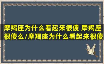 摩羯座为什么看起来很傻 摩羯座很傻么/摩羯座为什么看起来很傻 摩羯座很傻么-我的网站